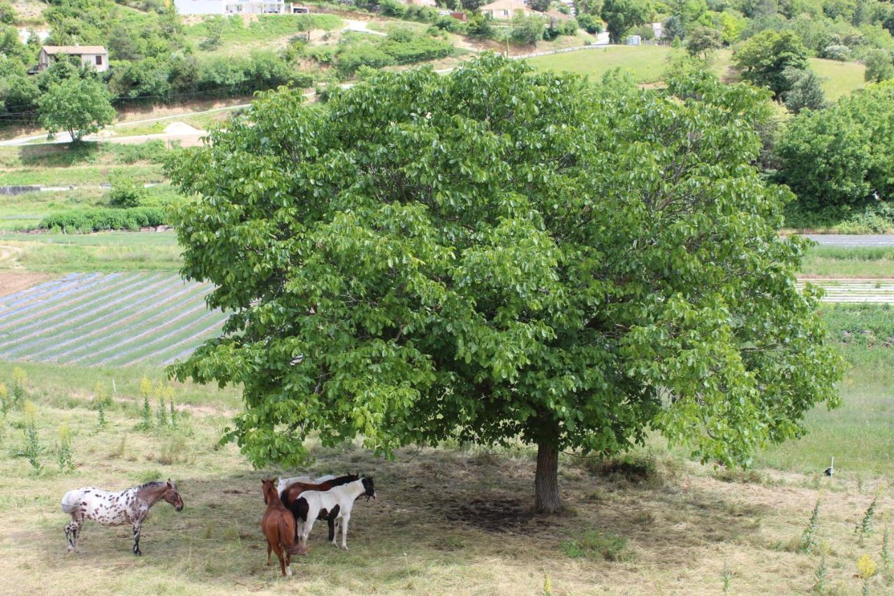 فالونسول Chateau Du Grand Jardin المظهر الخارجي الصورة